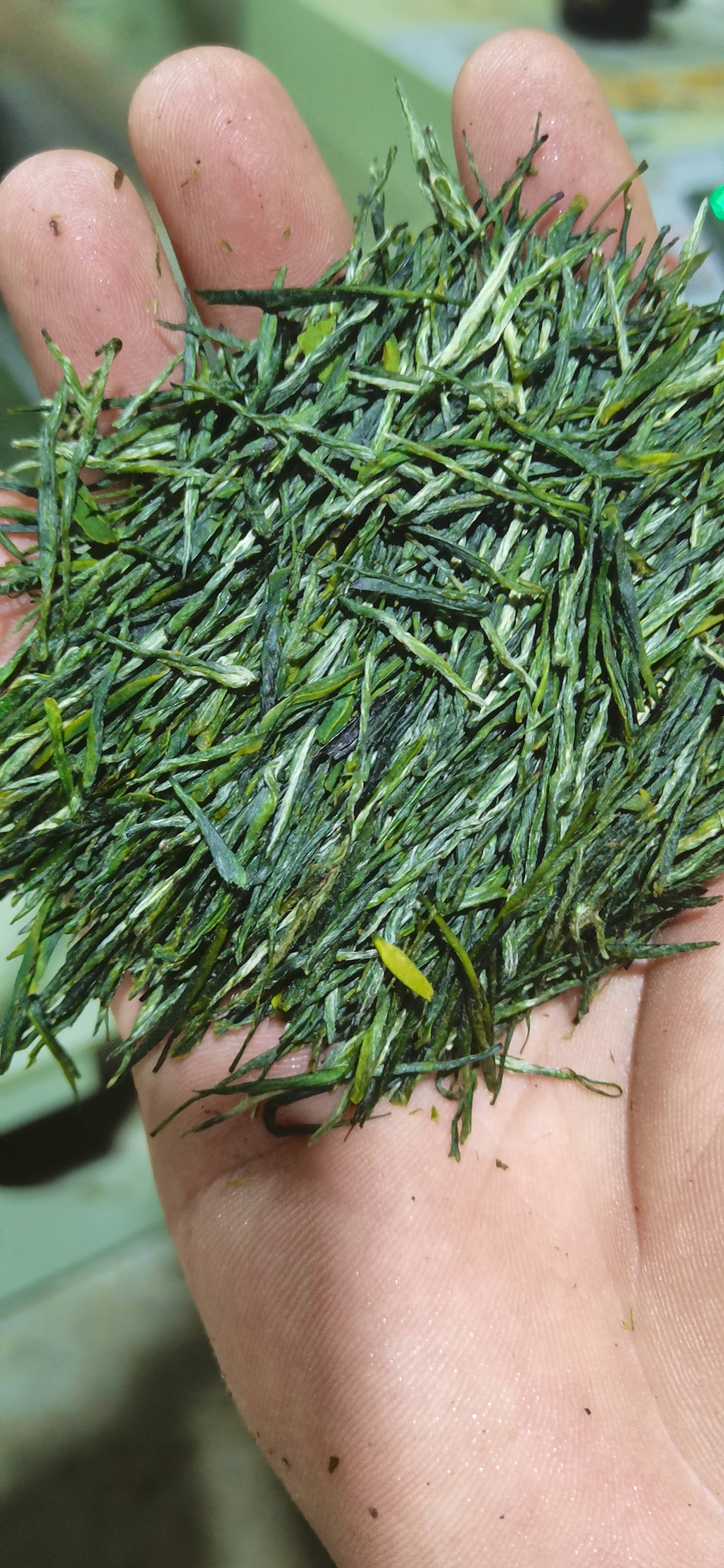 雅安市蒙竹雪芽茶业有限公司